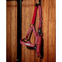 Horseware Amigo halsterset